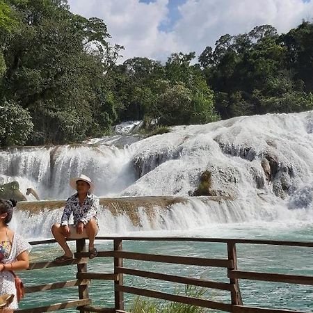 Posada Tzeltal Arroyo Agua Azul Εξωτερικό φωτογραφία