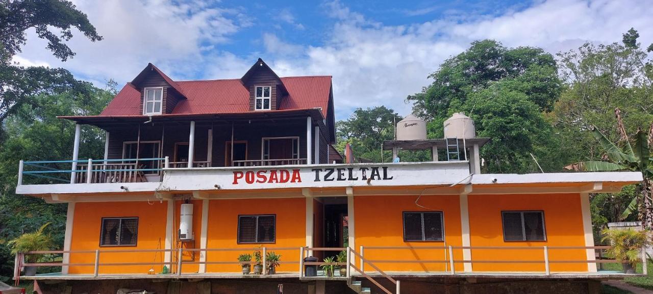 Posada Tzeltal Arroyo Agua Azul Εξωτερικό φωτογραφία