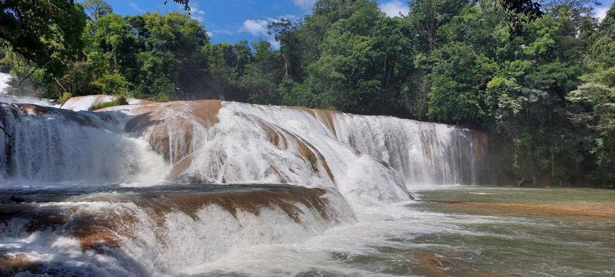 Posada Tzeltal Arroyo Agua Azul Εξωτερικό φωτογραφία